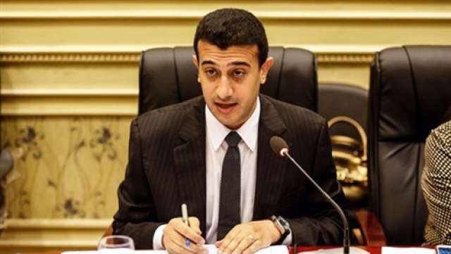 طارق الخولى، عضو لجنة «العفو الرئاسي