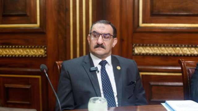 محمد الغول، وكيل لجنة حقوق الإنسان في مجلس النواب
