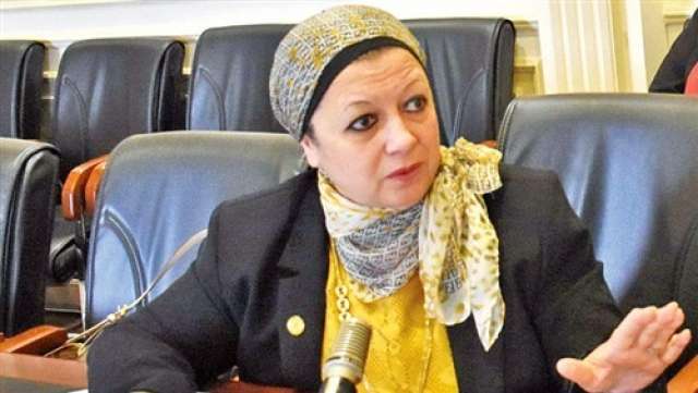  الدكتور ماجدة نصر، عضو لجنة التعليم بمجلس النواب