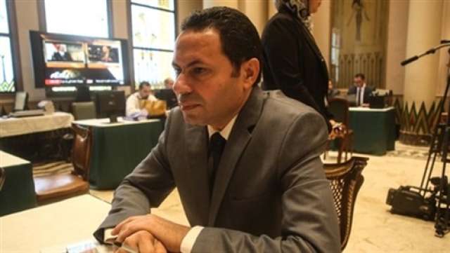  النائب هشام الحصري، عضو مجلس النواب