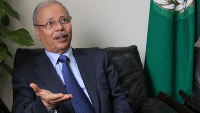  سعد الجمال، رئيس لجنة الشئون العربية في مجلس النواب