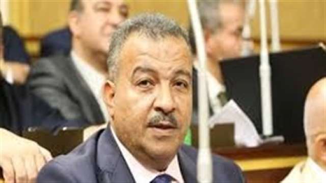 محمد خليل العماري، رئيس لجنة الشئون الصحية في مجلس النواب