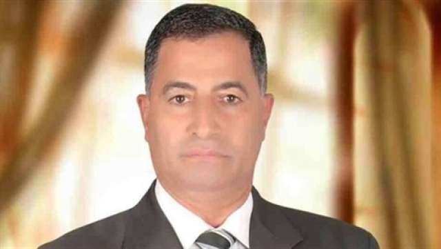البدري أحمد ضيف، عضو مجلس النواب