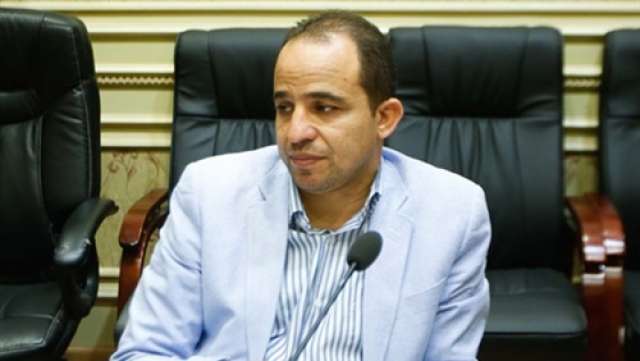  محمد إسماعيل، عضو مجلس النواب