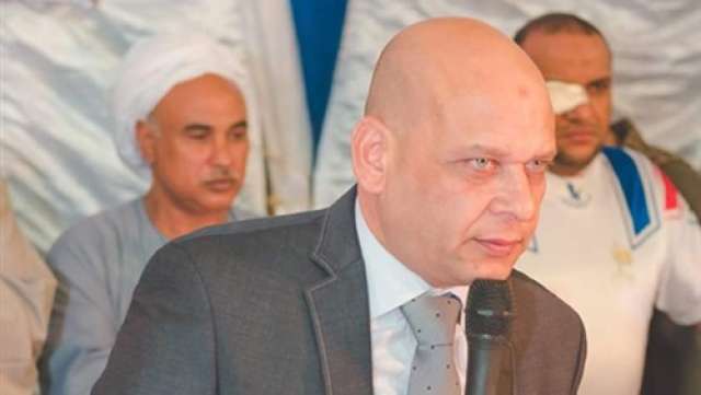 محمد هاني الحناوي، عضو مجلس النواب