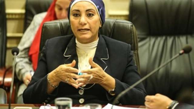جليلة عثمان، عضو لجنة الثقافة والإعلام في مجلس النواب