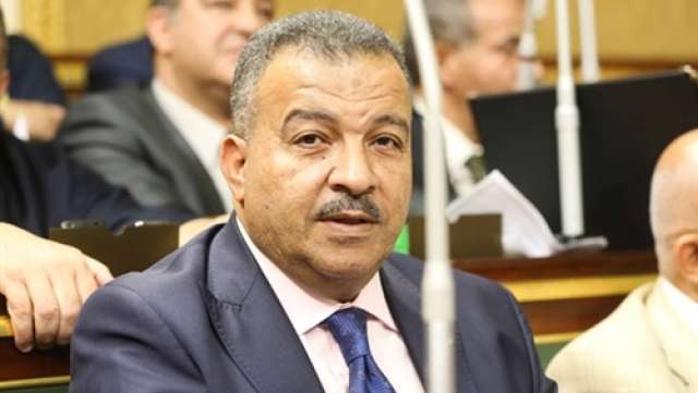 الدكتور محمد خليل العماري، رئيس لجنة الصحة في مجلس النواب