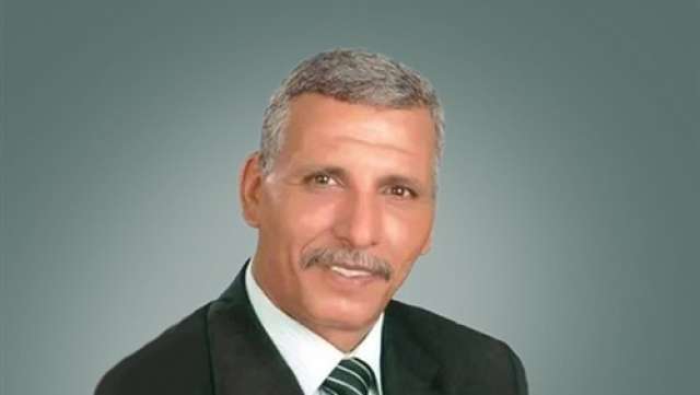 عبد الفتاح محمد يحيي، عضو مجلس النواب 