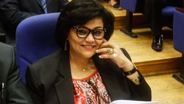 منال ماهر، عضو لجنة حقوق الإنسان في مجلس النواب