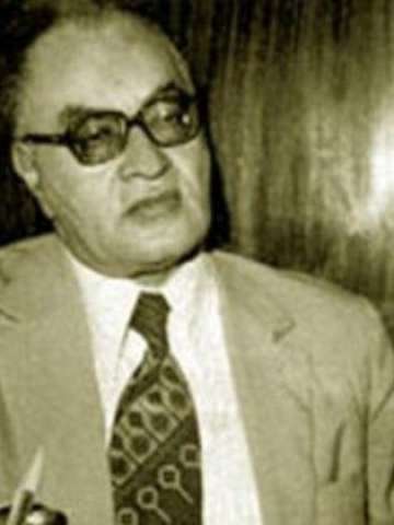 الكاتب الكبير عبدالرحمن الشرقاوى