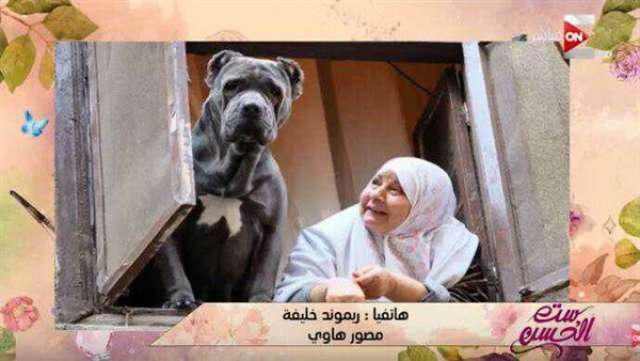 مصور ”السيدة والكلب”: أعيش فى مصر منذ 20 عاما واللقطة طريفة