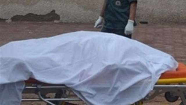 الجورنالجي