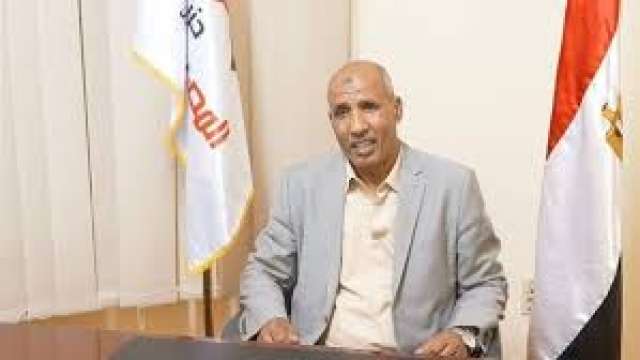 عامر الحناوي