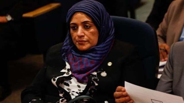 ثريا الشيخ عضو اللجنة الاقتصادية بمجلس النواب