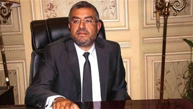 النائب عماد سعد حمودة