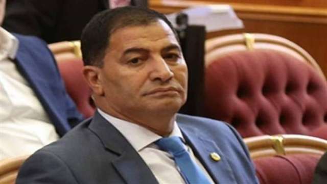 الدكتور البدرى أحمد ضيف عضو مجلس النواب