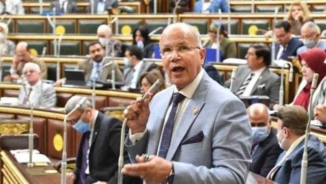 برلماني يثمن دعم الاتحاد الأوروبي لمصر لتصبح منفذاً لتصدير الطاقة