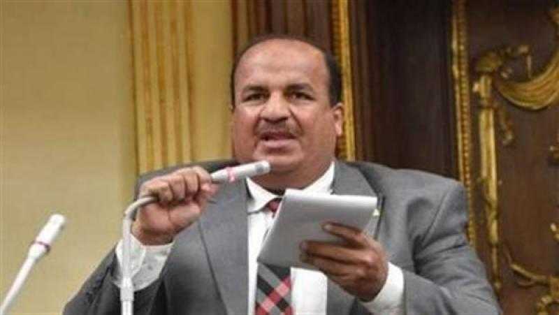 برلماني : ثورة 30 يونيو أنقذت مصر والعالم من براثن قوى الشر