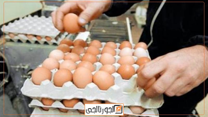 اقتصاد البيض