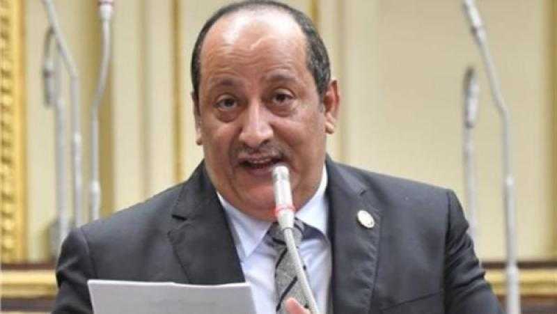 برلماني: كلمة الرئيس السيسي في جدة قدمت رؤية مصر لحل مشكلات المنطقة