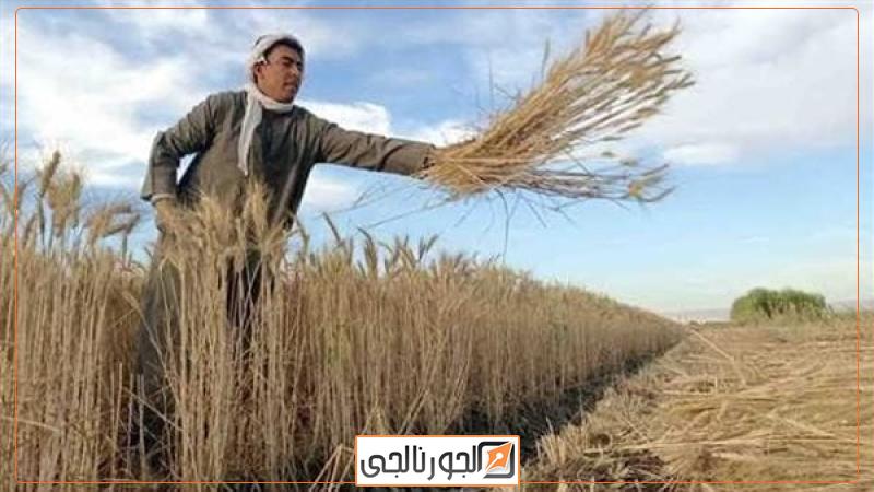 الجورنالجي
