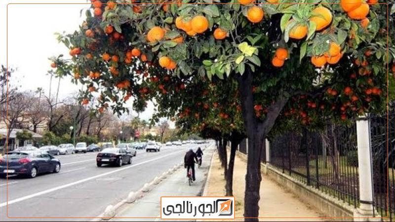 اقتصاد صورة تعبيرية