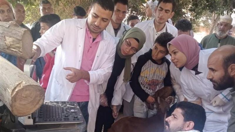 جامعة مدينة السادات تطلق قافلة بيطرية وزراعية مجانية بقرية بنى غريان