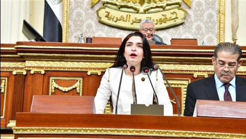 أول تعليق برلماني بشأن منح الأسرة الملتزمة بتحديد النسل 65 ألف جنيه سنويا