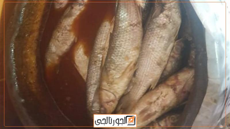 محافظات فسيخ مجهول المصدر بالبحيرة