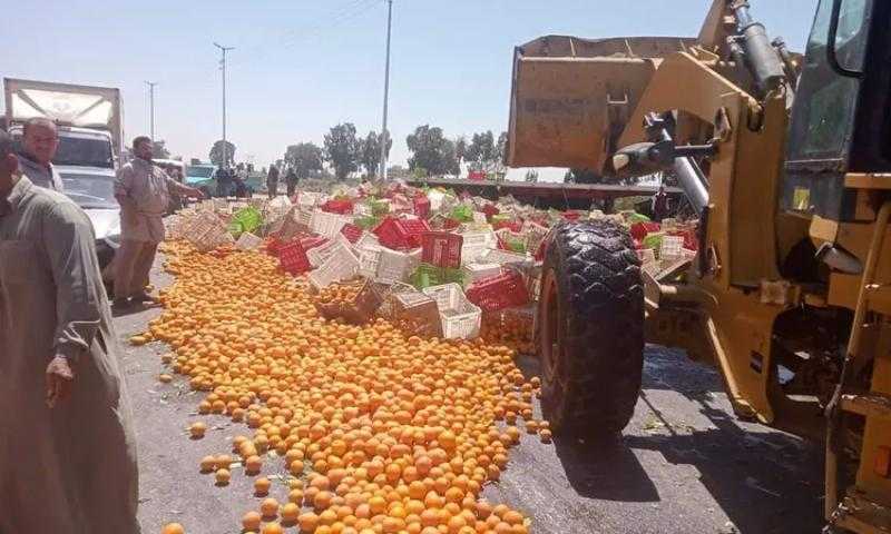 إصابة 3 أشخاص في تصادم سيارتين على طريق الإسماعيلية الزقازيق الزراعي.. الأسماء