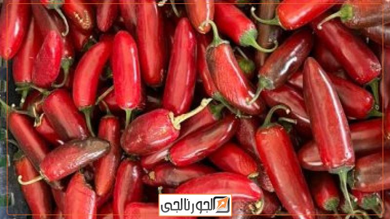 الفلفل الأحمر