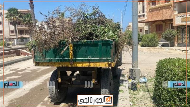 حملات نظافة