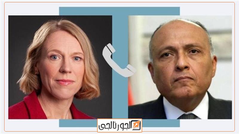 سامح شكري وزير الخارجية
