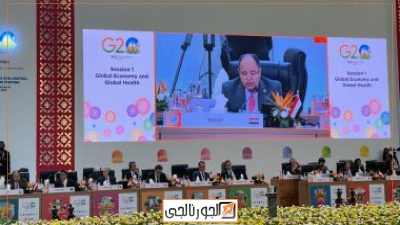 وزير المالية خلال اجتماعات مجموعة العشرين بالهند