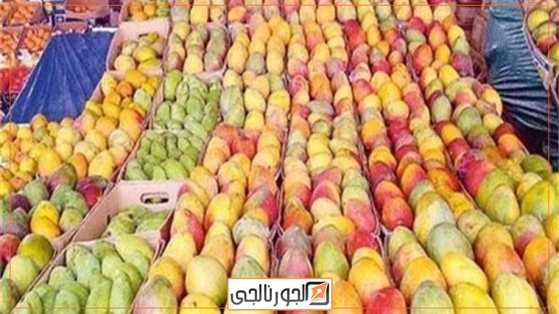 مهرجان الإسماعيلية للمانجو