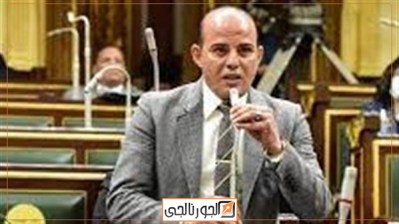 النائب عمرو القطامى
