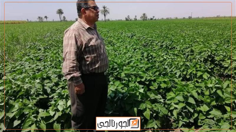 د علاء عزمي