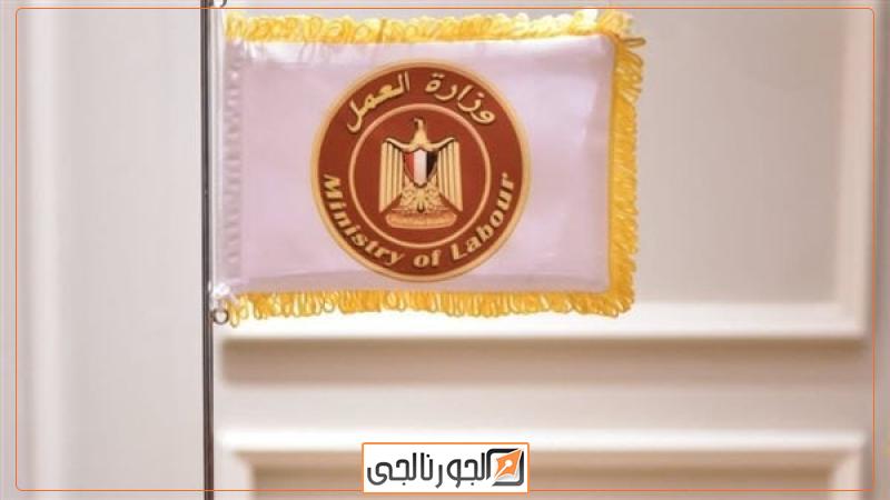 وزارة العمل،فيتو