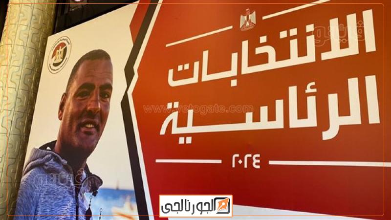 اختصاصات الهيئة الوطنية للانتخابات، فيتو