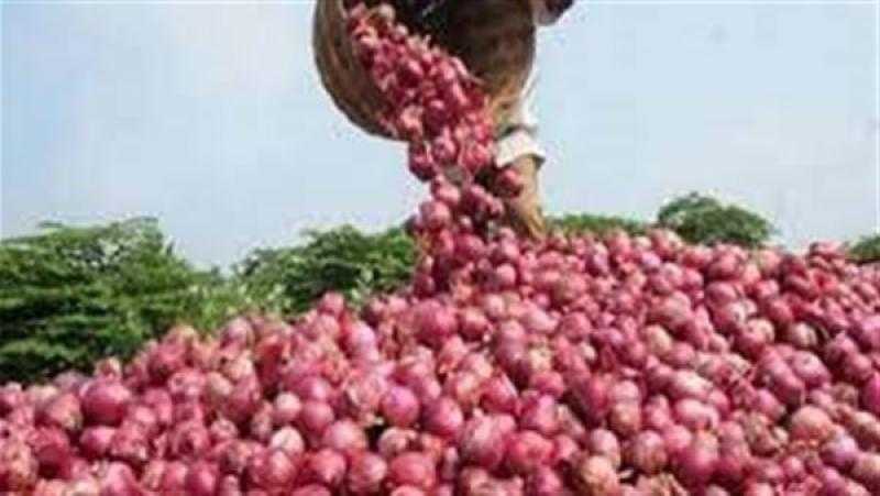 الجمارك تلغي تعليماتها بشأن وقف تصدير البصل لحين إشعار آخر