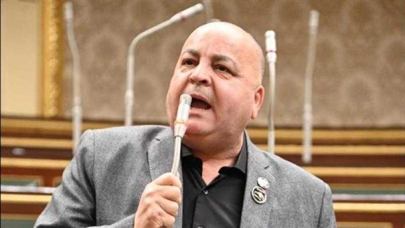 نائب: توجيهات السيسي بتعميق التصنيع المحلي يوفر فرص عمل للشباب