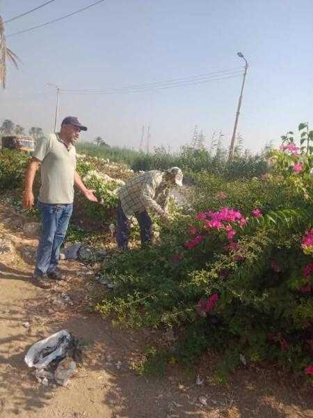 زراعة أشجار مثمرة وأخرى للزينة بمركزين بالمنيا ضمن مبادرة ”100 مليون شجرة”