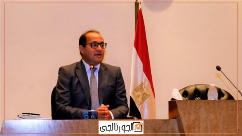 أحمد كجوك نائب وزير المالية للسياسات المالية،فيتو