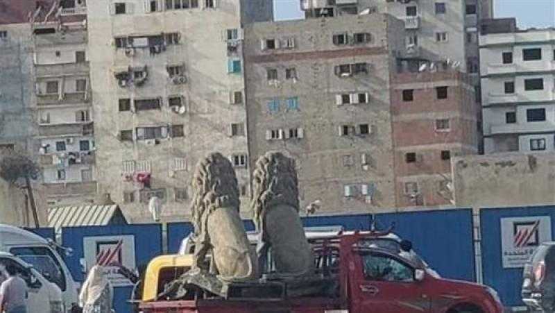 محافظة الإسكندرية تكشف تفاصيل نقل مجسمي أسدين من مدخل الطريق الدولي