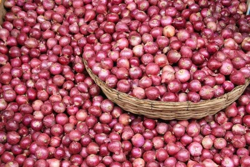 اليوم..قرار حظر تصدير البصل يدخل حيز التنفيذ