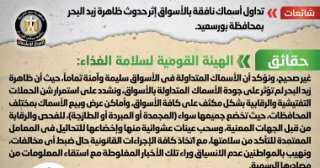 الحكومة تنفى تداول أسماك نافقة بالأسواق بسبب حدوث ظاهرة زبد البحر فى بورسعيد