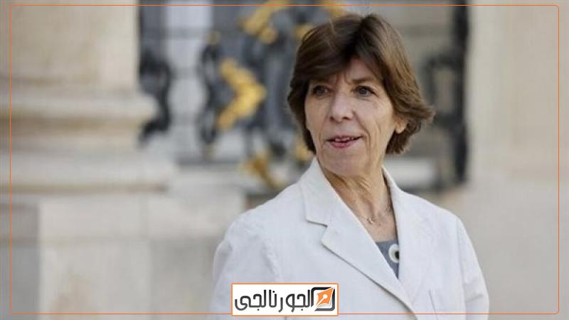 الجورنالجي