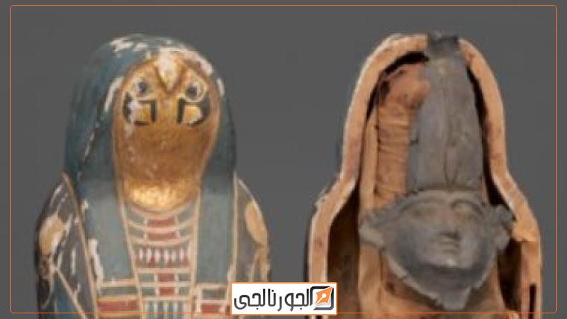 موميلء وتابوت مصرى