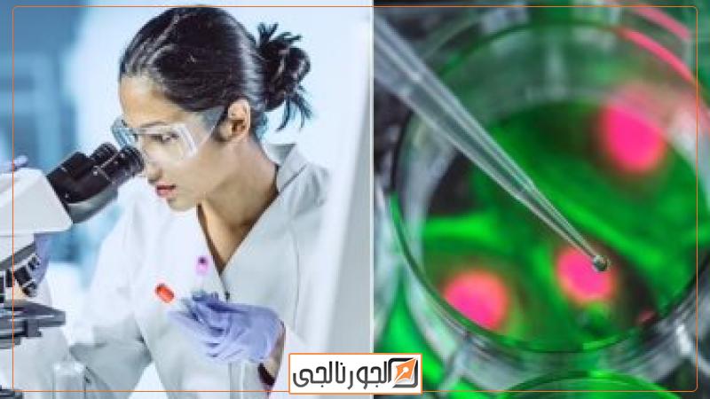 تفشى الكوليرا فى 31 دولة بالعالم