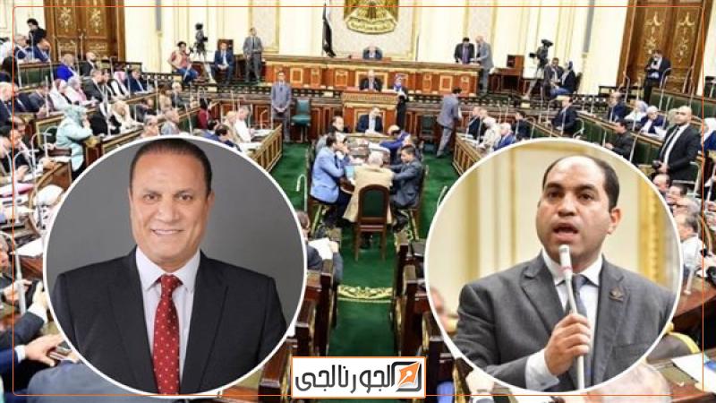 أعضاء لجنة الإدارة المحلية بمجلس النواب